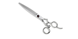 C10S-675D (SWIVEL CUTTING PLUS SLIDING)